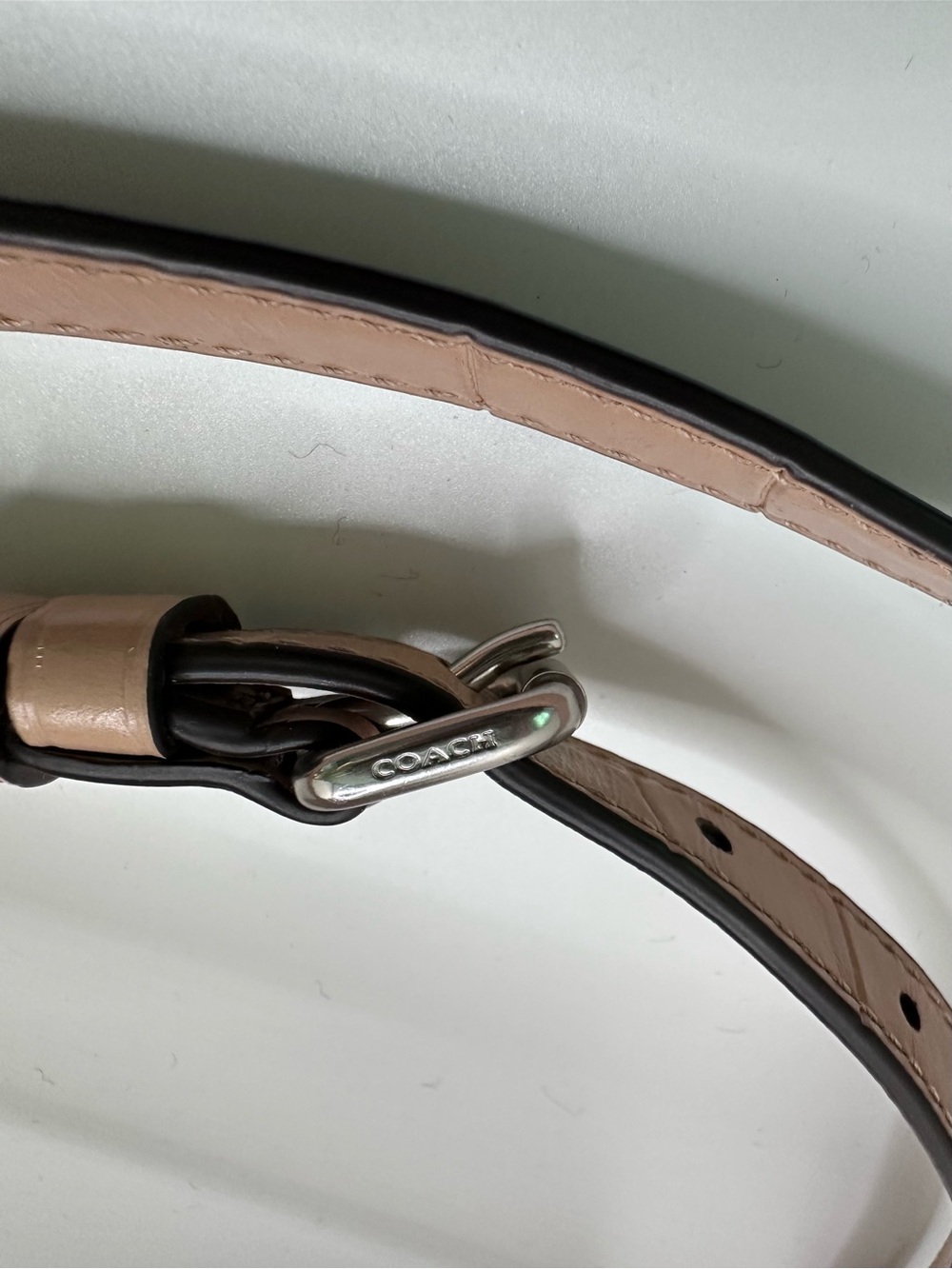 Coach Croc-Embossed Crossbody in Blush Taupe - Picture 2 of 5